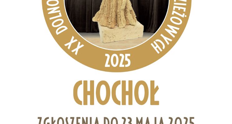 Plakat XX Dolnośląskie Spotkania Teatrów Młodzieżowych CHOCHOŁ