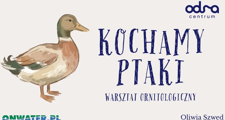 Plakat Kochamy Ptaki – bezpłatne warsztaty ornitologiczne