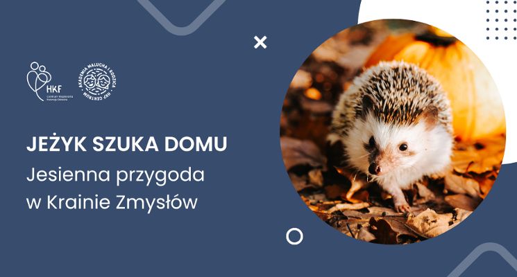 Plakat Jeżyk szuka domu – jesienna przygoda w Krainie Zmysłów [zajęcia dla dzieci]