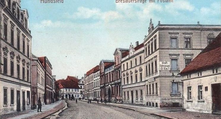 Plakat Psie Pole. Spacer z przewodnikiem