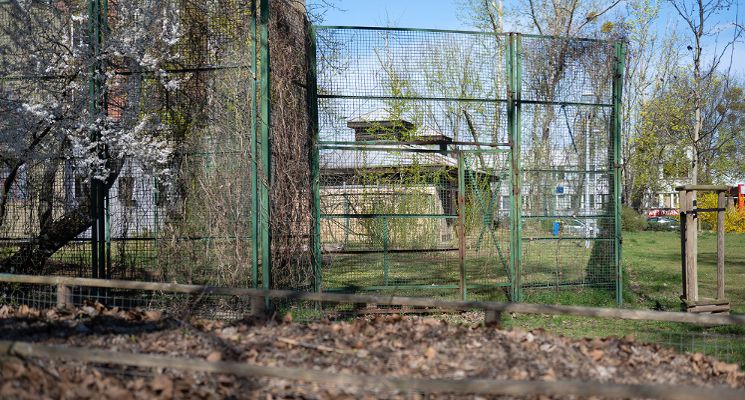 Plakat Architektura w służbie regeneracji – spotkanie z Anną Bać i Moniką Bać-Kapałą