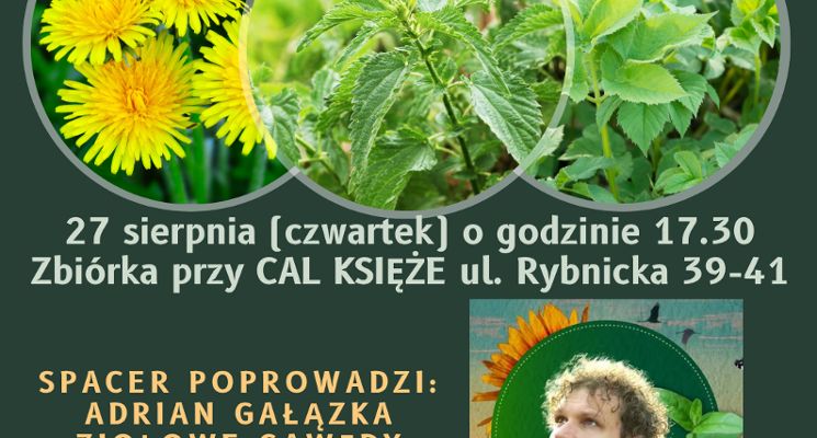 Plakat Spacer Zielarski w Parku Wschodnim!