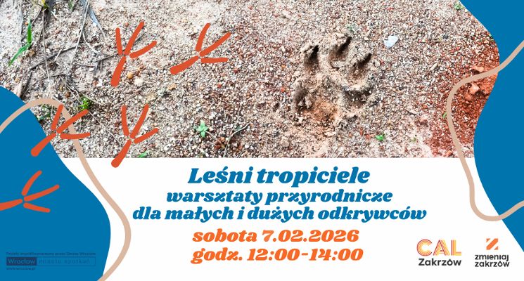Plakat Leśni tropiciele - warsztat przyrodniczy w Lesie Zakrzowskim