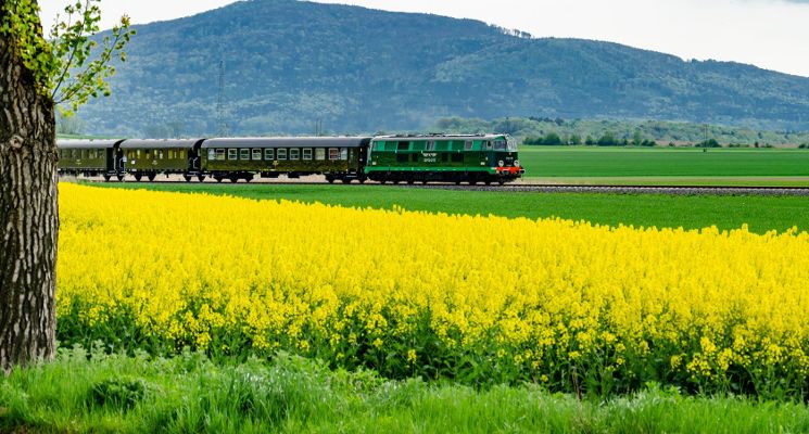 Plakat Majówka z Klubem Sympatyków Kolei: Hefajstosem do Wolsztyna i pociągiem w Góry Sowie