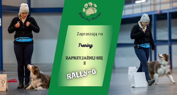 Plakat Zajęcia Rally-O – nauka i zabawa z Twoim psem! | Trening otwarty