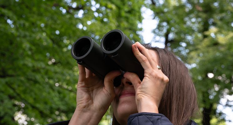 Plakat Biografie roślin – warsztaty przyrodnicze