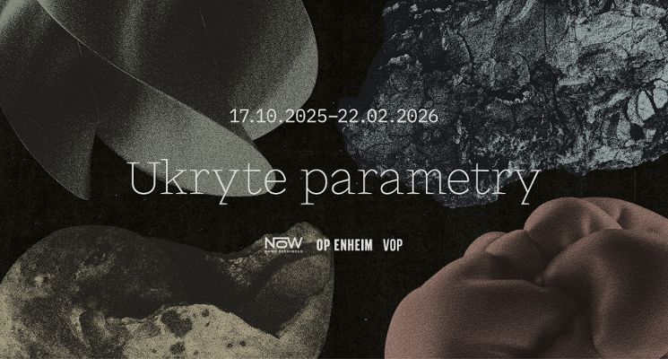 Plakat Ukryte parametry [wystawa]
