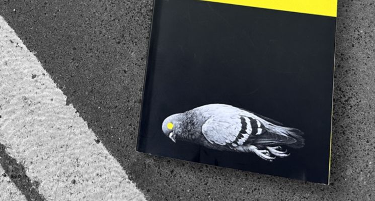 Plakat Spotkanie autorskie z Filipem Kalinowskim w Galerii Magiel