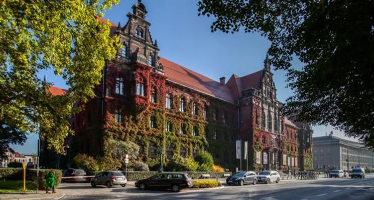 Plakat Warsztaty dla dzieci „Wieczór z modną czarownicą Teklą” w MNWr [Noc Muzeów 2025]