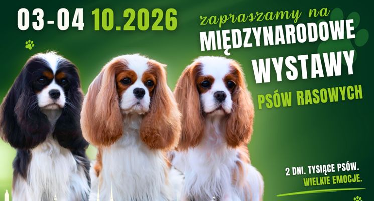 Plakat Wielkie Święto dla wszystkich przyjaciół psów rasowych [wystawa]