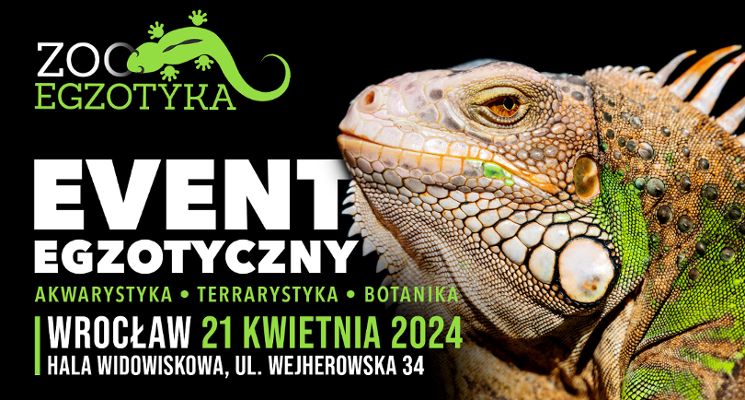 Plakat ZooEgzotyka Wrocław