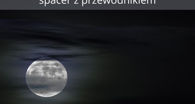 Plakat Makabryczny Wrocław - spacer z przewodnikiem Walkative!