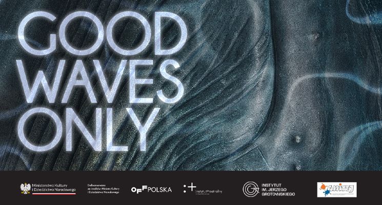 Plakat Good Waves Only – spektakl Agi Błaszczak i Pawła Bernadowskiego