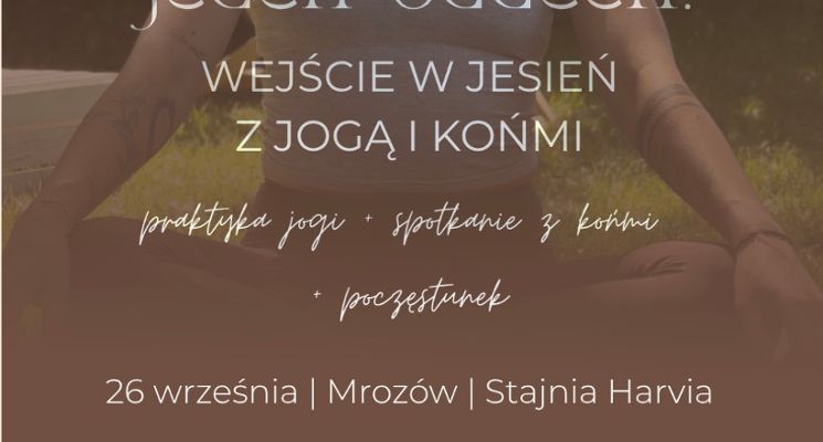 Plakat Joga I konie