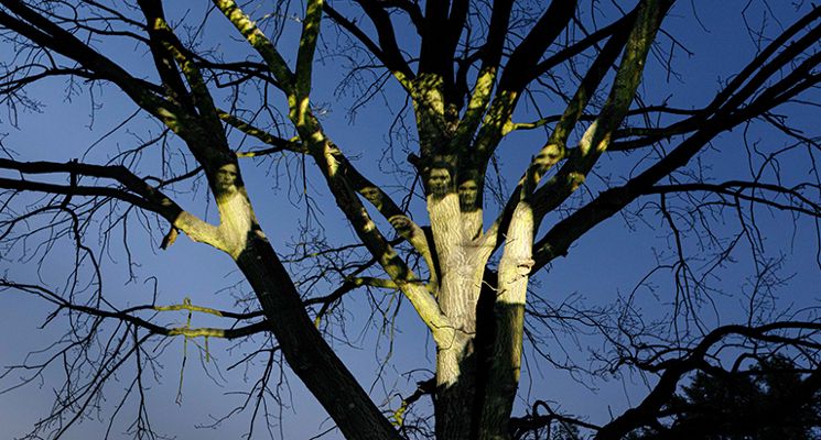 Plakat Wykład "Czułość dokumentu. Obraz jako przestrzeń relacji, doświadczenia i wyobrażenia"