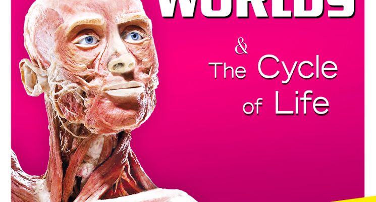 Plakat Wystawa Body Worlds „The Cycle of Life”