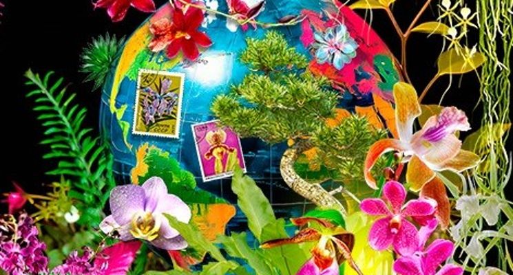 Plakat Światowa wystawa orchidei, bonsai i sukulentów