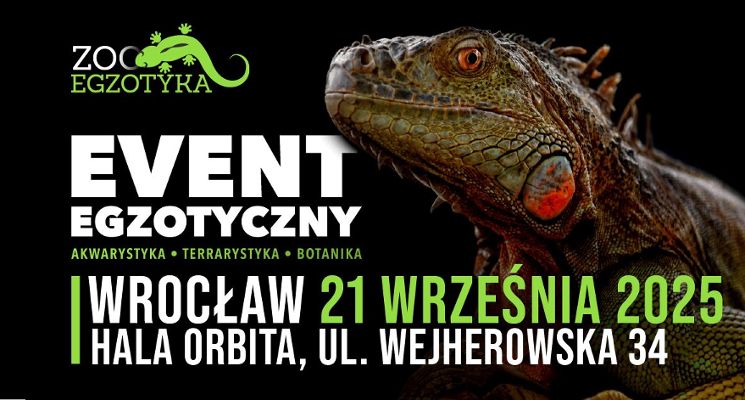 Plakat Targi ZooEgzotyka
