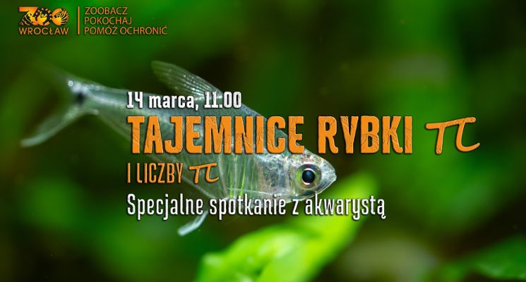 Plakat Tajemnice rybki π  – specjalne spotkanie z akwarystą w Zoo Wrocław