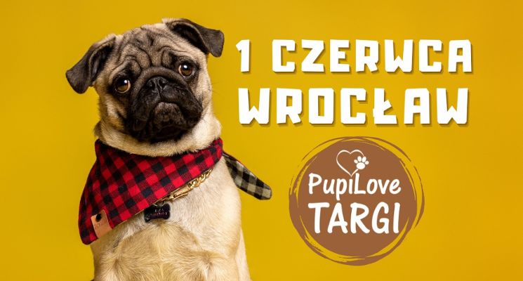 Plakat PupiLove Targi 2025