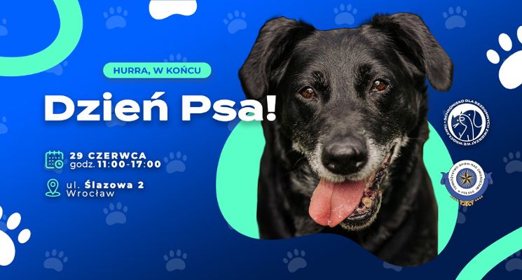 Plakat Dzień Psa w schronisku