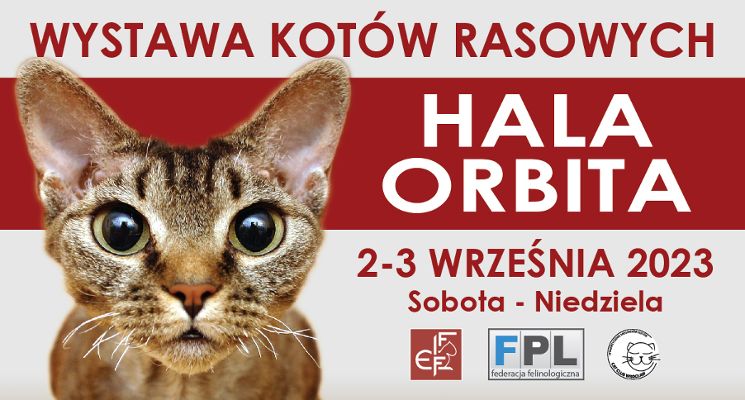 Plakat Wystawa Kotów Rasowych
