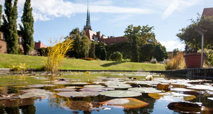 Plakat Ogród Botaniczny Uniwersytetu Wrocławskiego