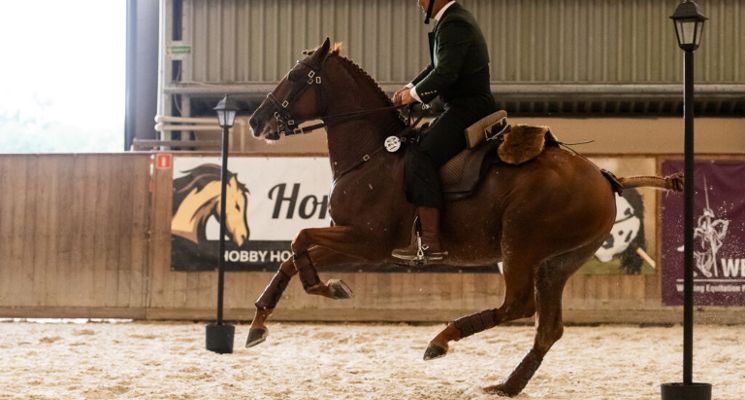 Plakat VI Wroclove Międzynarodowe Zawody Working Equitation WAWE