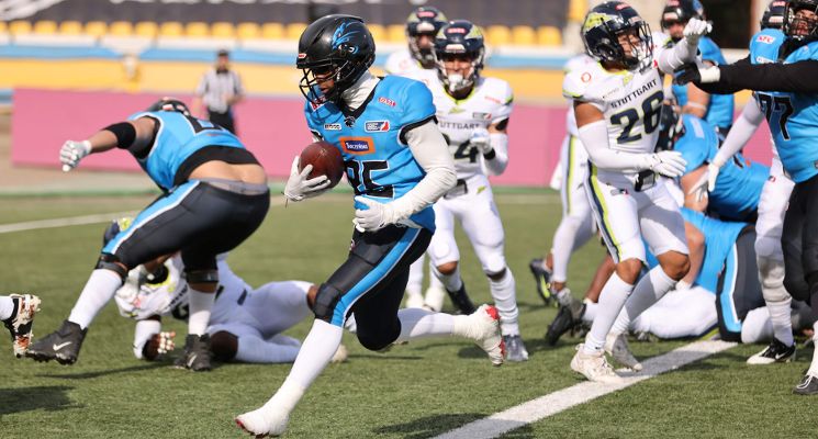 Plakat Panthers Wrocław vs Firenze Red Lions