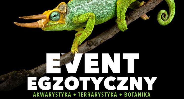 Plakat ZooEgzotyka