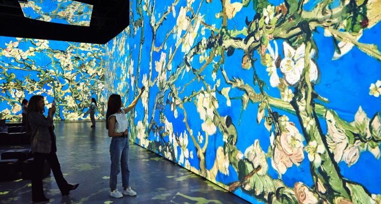 Plakat Wystawa: Van Gogh Multisensory Exhibition we Wrocławiu