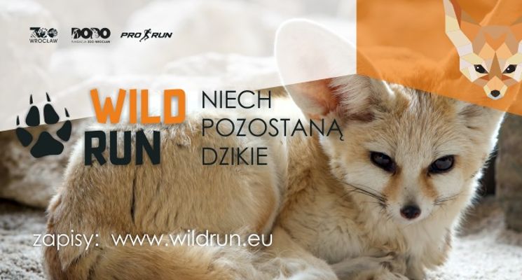 Plakat Wild Run 2021 – Niech pozostaną dzikie