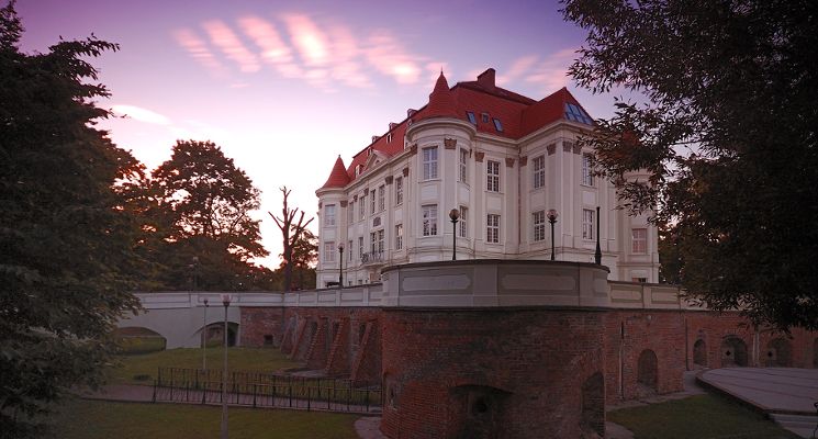 Plakat Dzień Kobiet w OPT Zamek