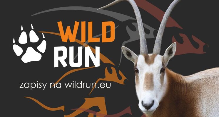 Plakat Wild Run - ratujmy zwierzęta Afryki!