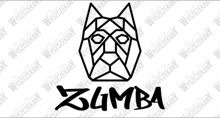 Plakat Zumba na wyszczekanym