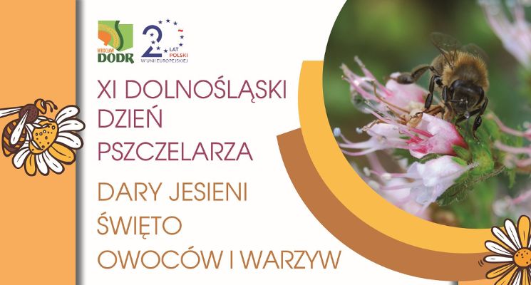 Plakat XI Dolnośląski Dzień Pszczelarza oraz Dary Jesieni - Święto Owoców i Warzyw