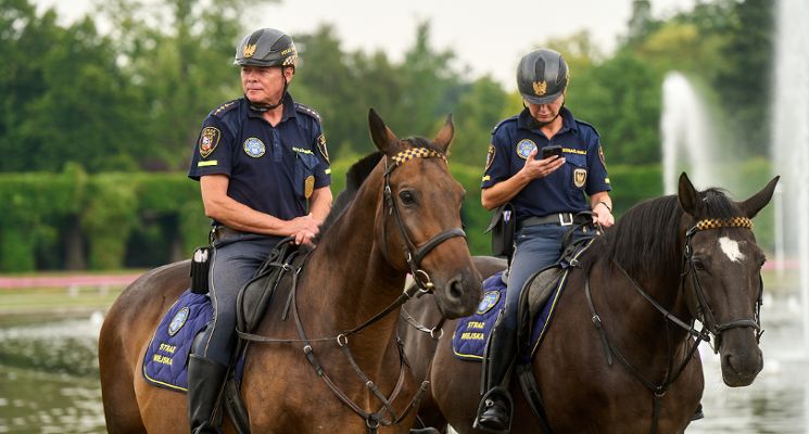 Plakat Piknik z Policją [Lato na Pergoli 2025]
