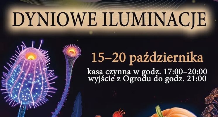 Plakat Dyniowe iluminacje w Ogrodzie Botanicznym