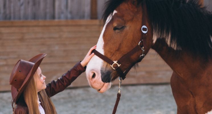 Plakat Ferie jeździeckie 2026