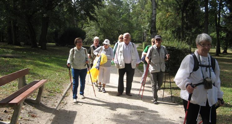 Plakat Nordic Walking dla seniora