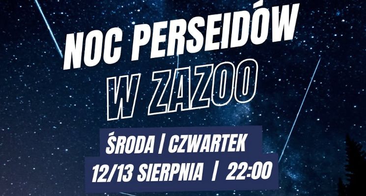 Plakat Noc perseidów w ZaZOO