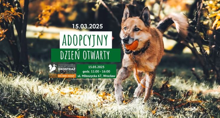Plakat Adopcyjny Dzień Otwarty w EKOSTRAŻY!