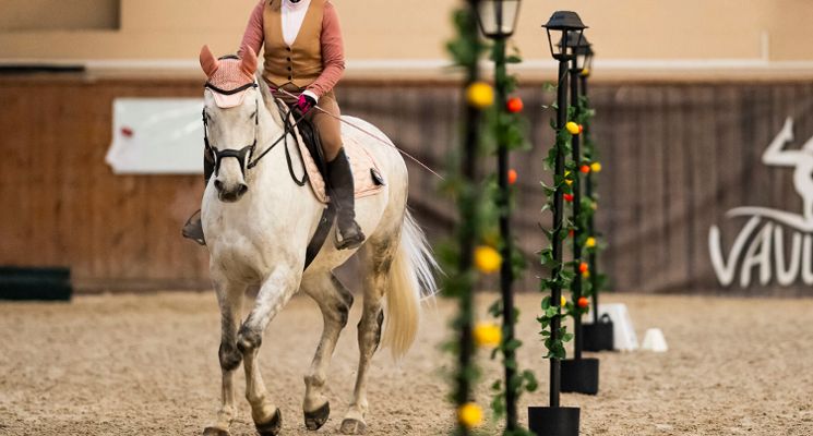 Plakat Mistrzostwa Polski Working Equitation 10/26