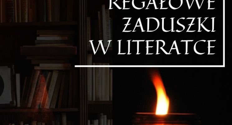 Plakat Regałowe zaduszki w literatce