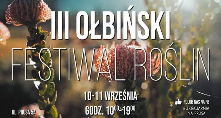Plakat III Ołbiński Festiwal Roślin