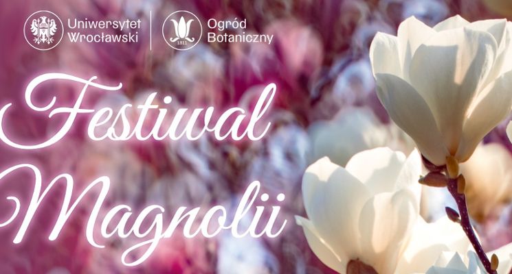 Plakat Festiwal Magnolii w Ogrodzie Botanicznym