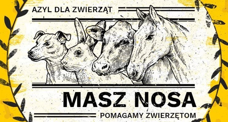 Plakat CharytaTUJEmy- Koncert Tuje dla „Masz Nosa"