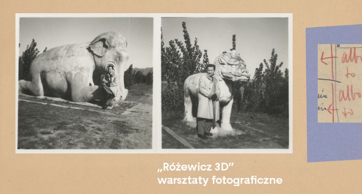 Plakat „Różewicz 3D”– warsztaty fotograficzne