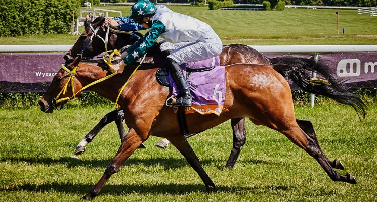 Plakat Szósty dzień wyścigowy 2026 - Family Day