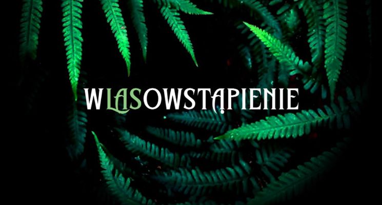 Plakat Wlasowstąpienie – koncert LASu